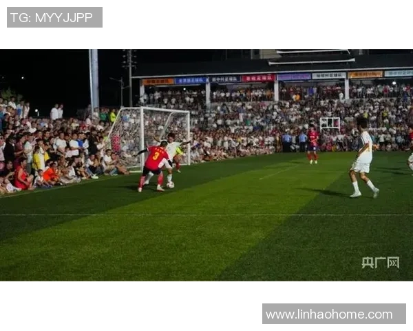 足球比赛观众密度与球队主场表现的相关性研究